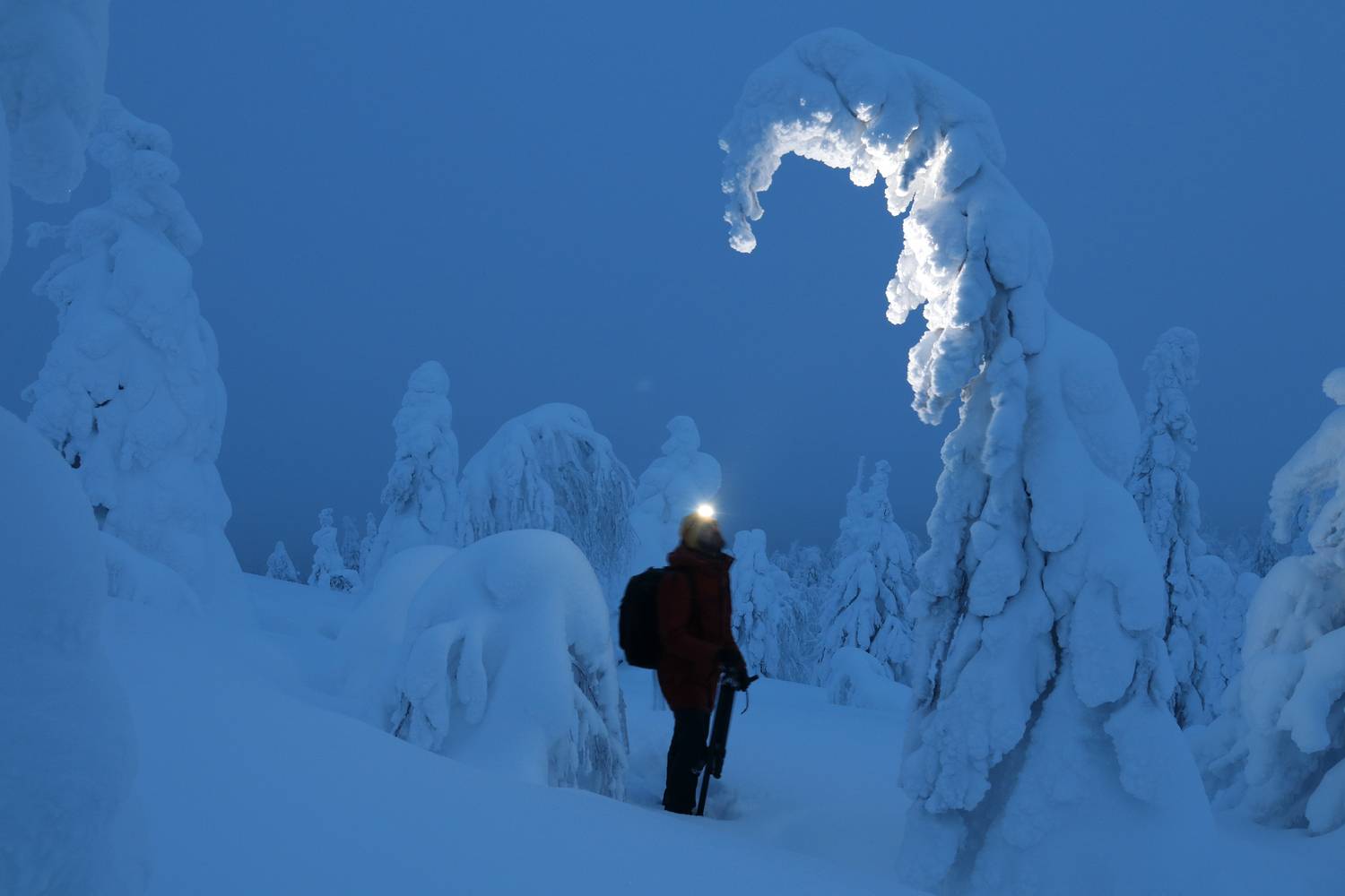 пермский, край, Добролюбова Тамара