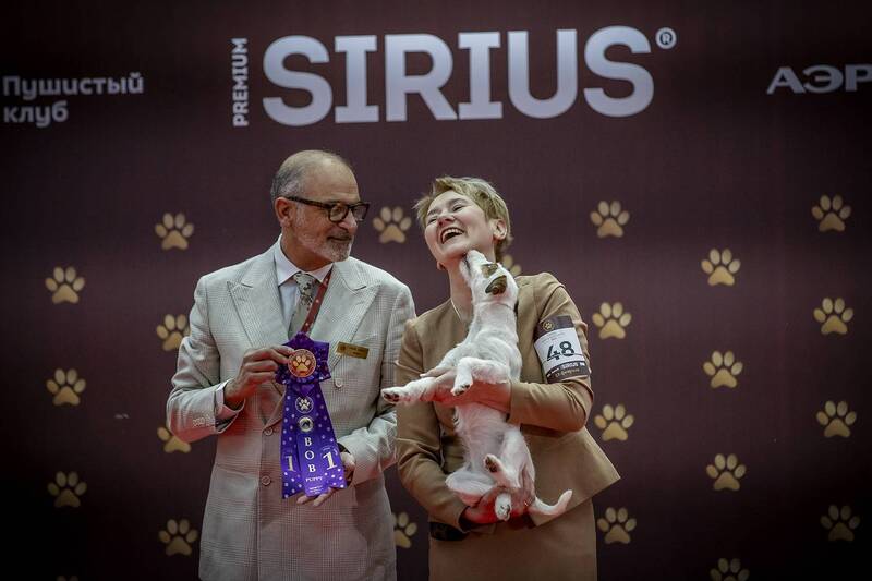 выставка \\\\\\\