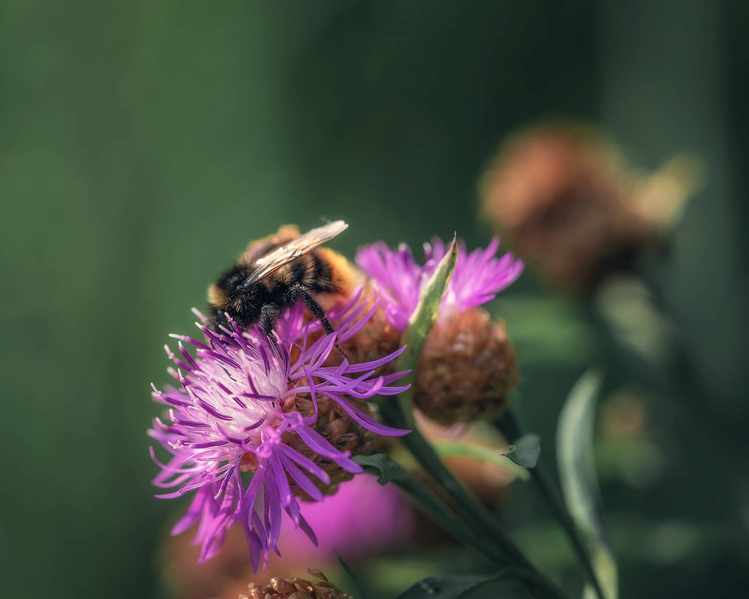 , Людмила Завьялова