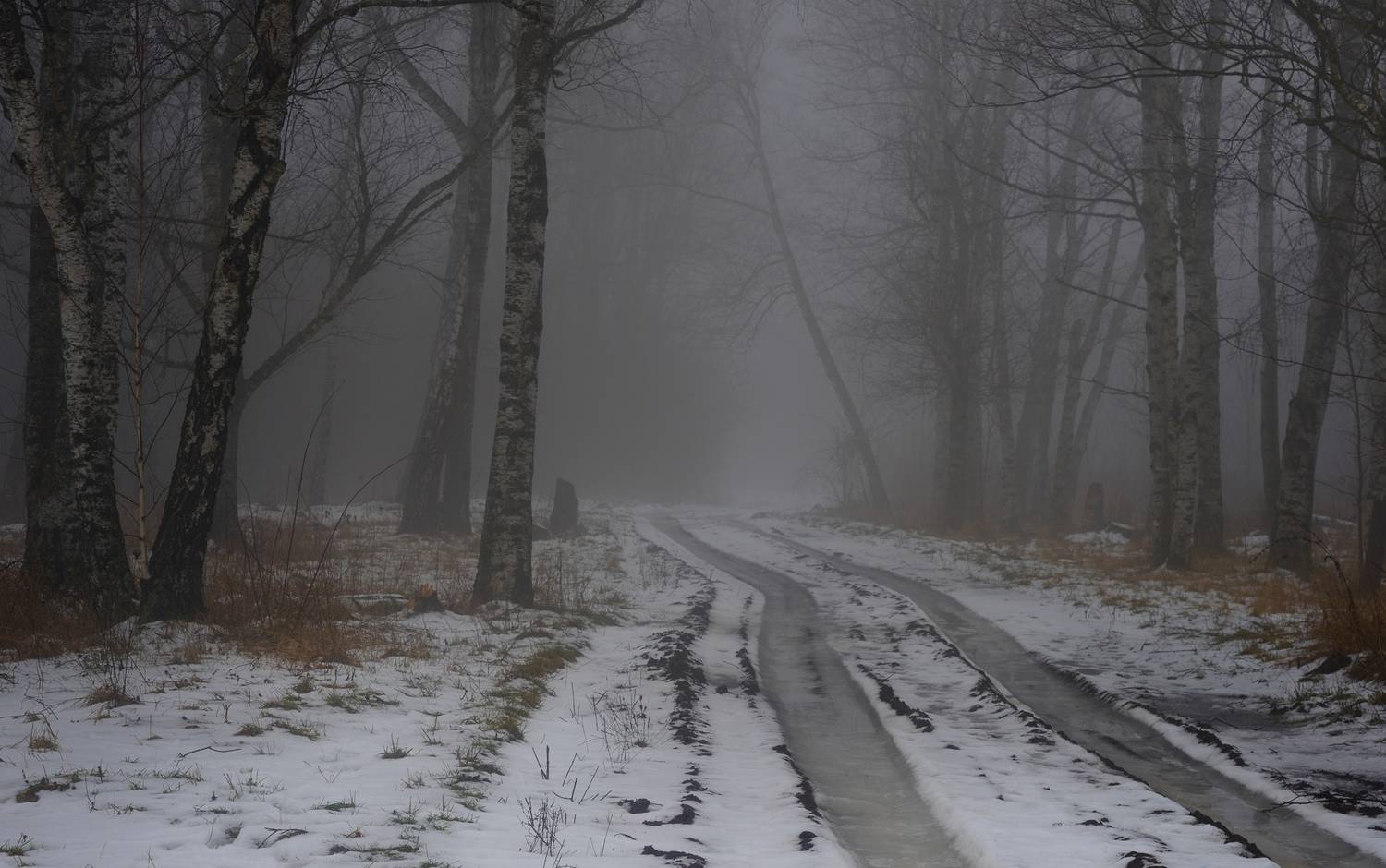 зима, туман, лес, утро, Александр Жарников