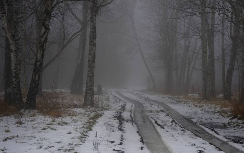 зима, туман, лес, утро Туманное утро фото превью