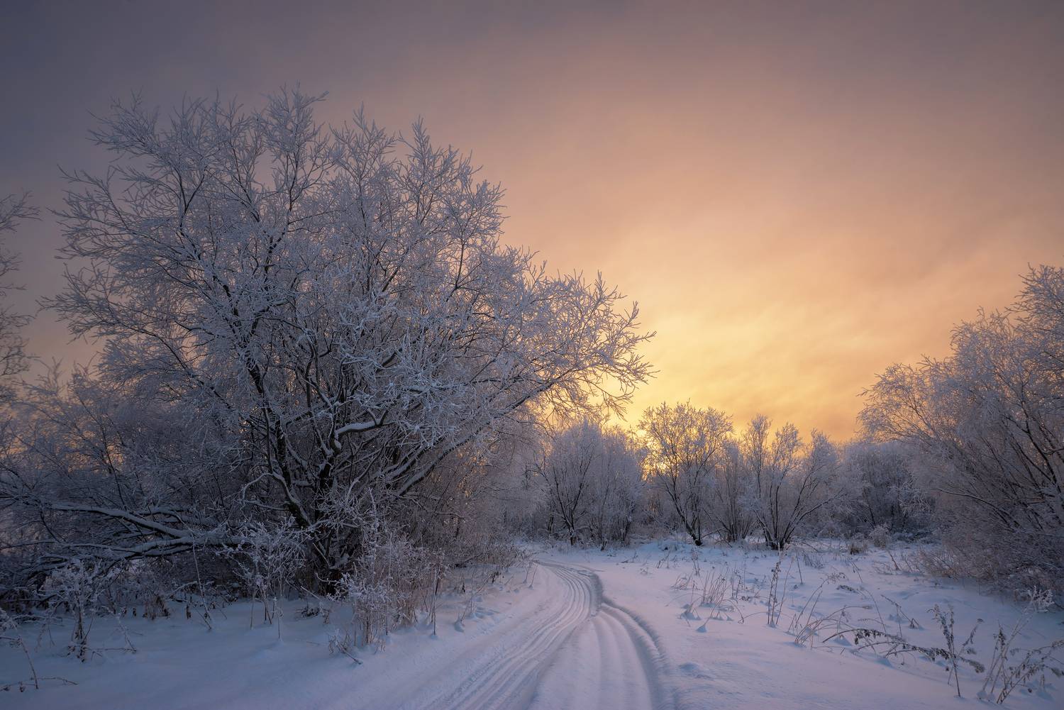 , Смольский Евгений