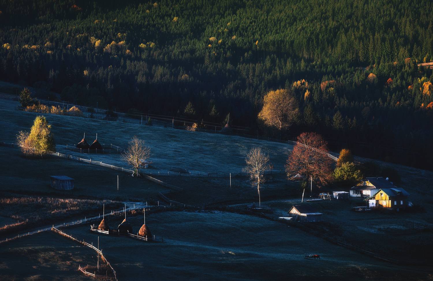 , Дмитрий Иванов