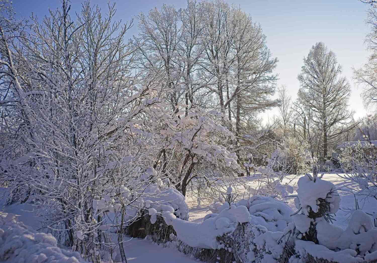 , Орлов Олег