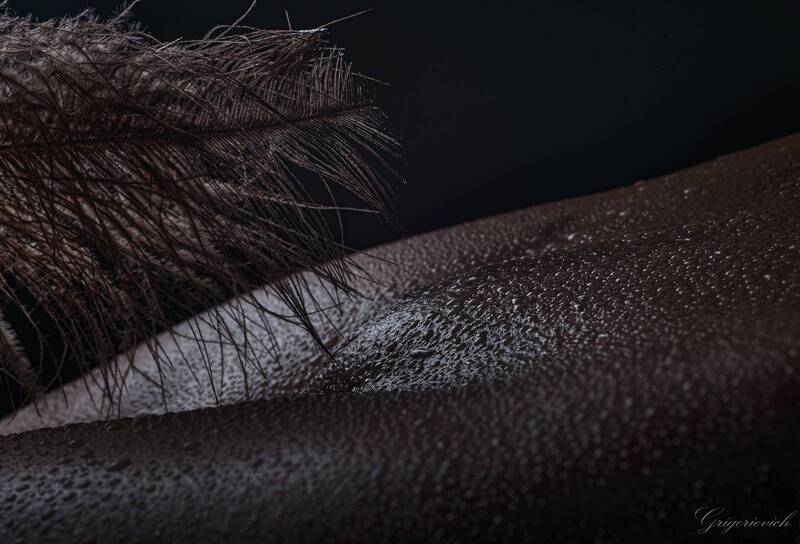 девушка., кожа., красота., капли., тень Капли. Перо. фото превью