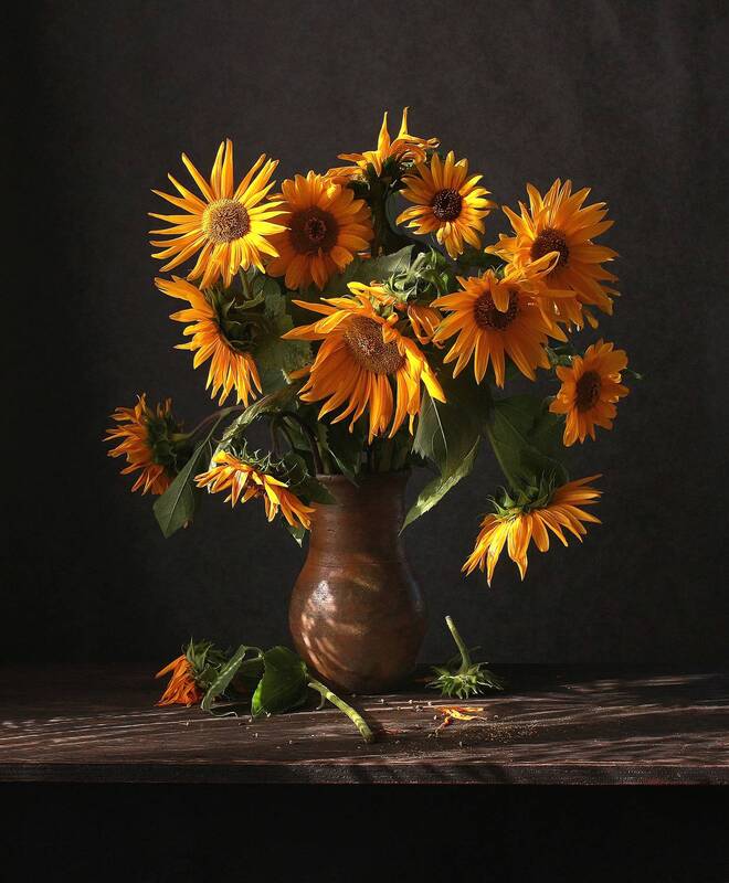 Ш фото превью