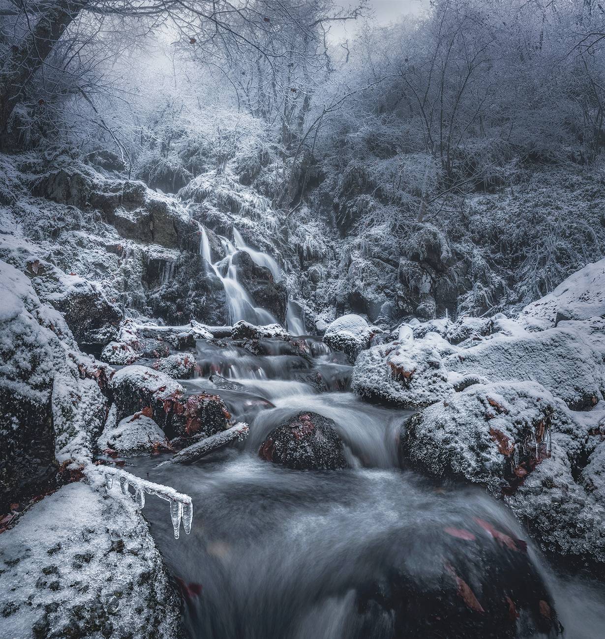 landscape, nature, scenery, forest, wood, autumn, rime, mist, misty, fog, foggy, river, longexposure, mountain, rocks, vitosha, bulgaria, Александър Александров