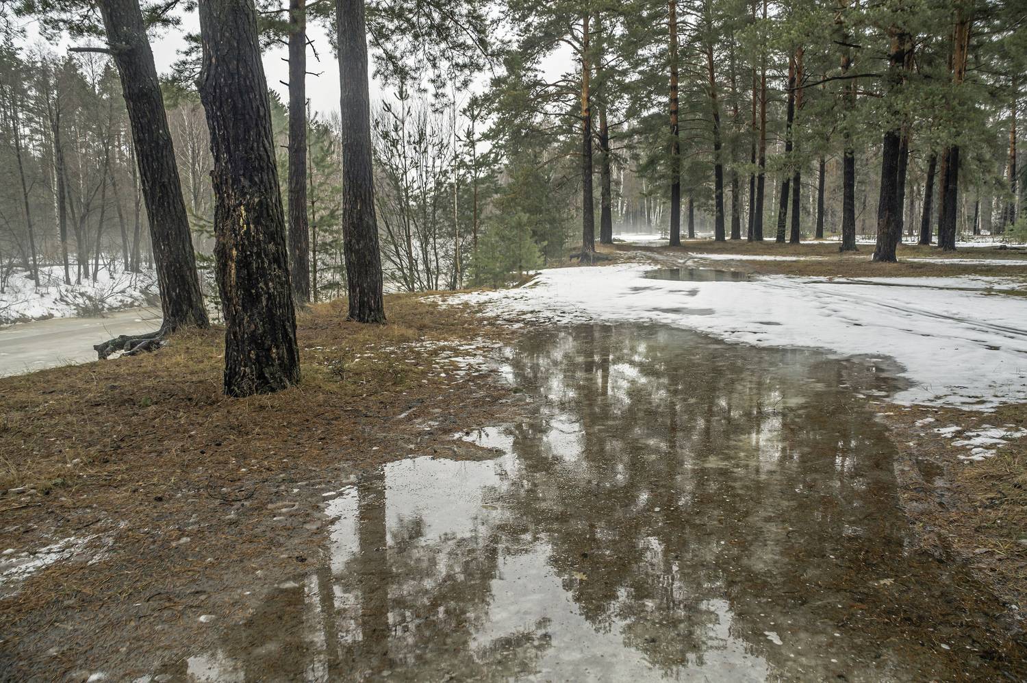 , Шитов Александр