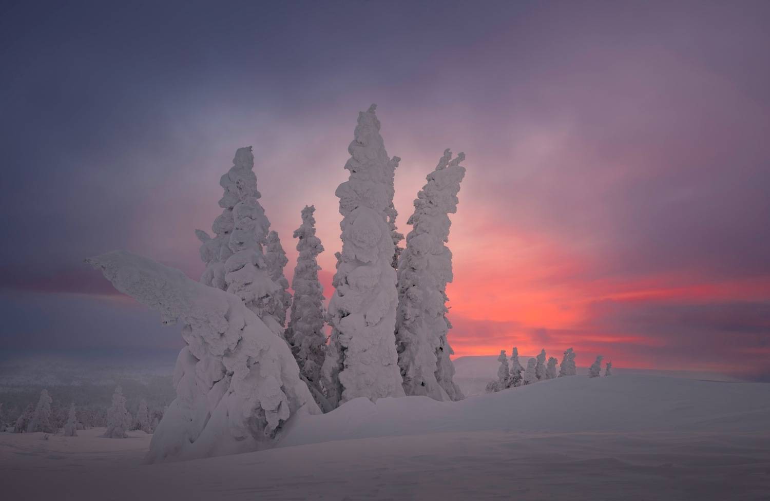 , Ширгин Сергей