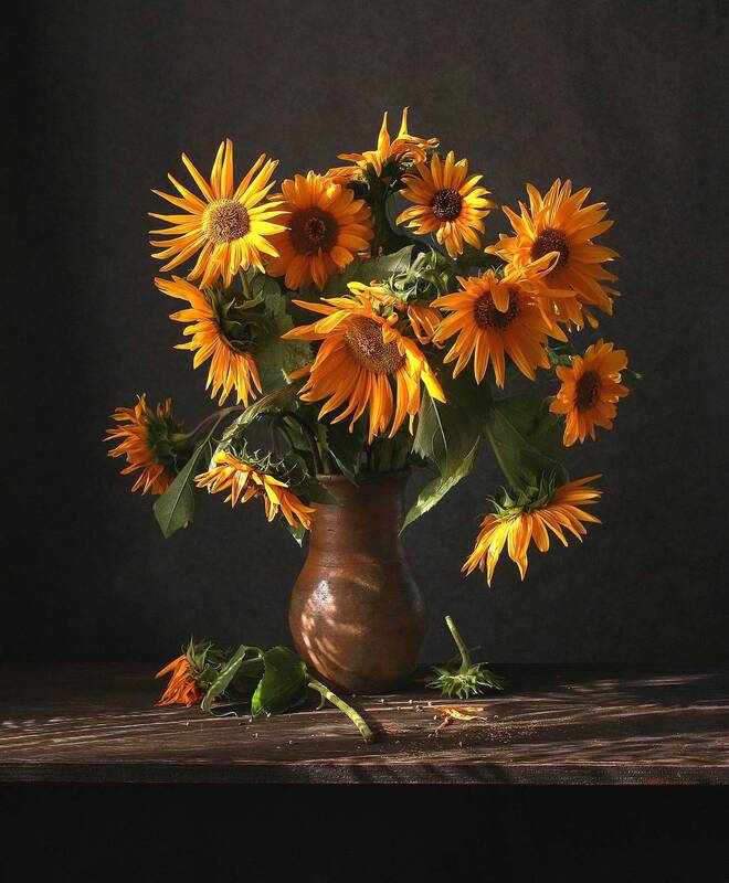 Ш фото превью