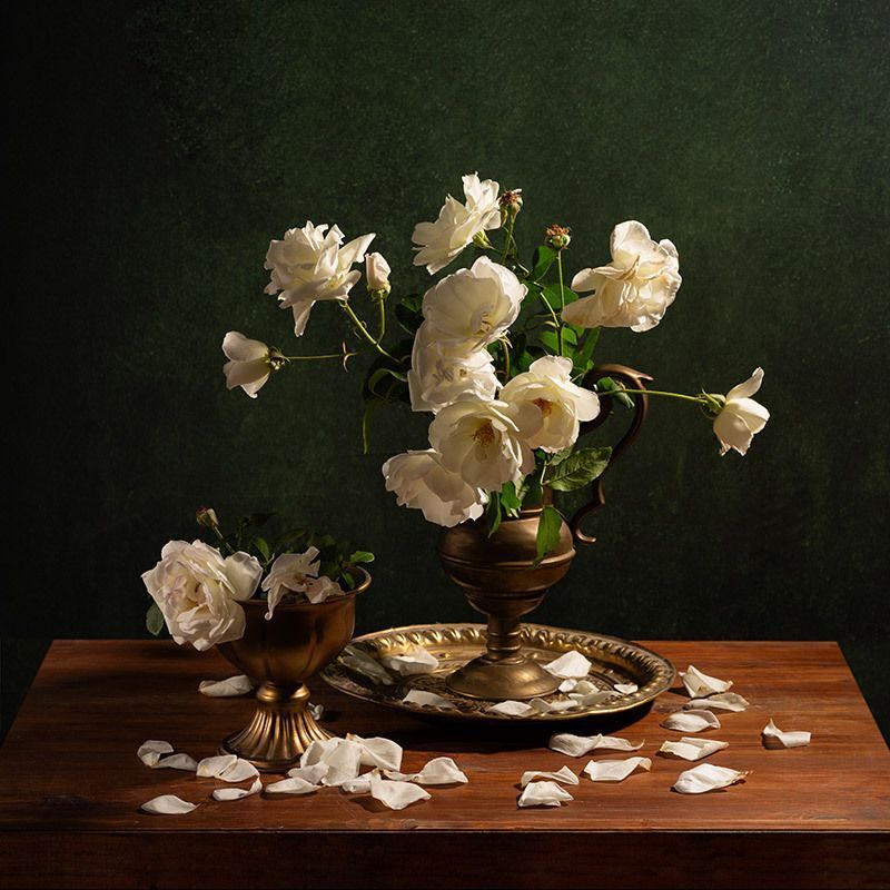 Белые розы... фото превью