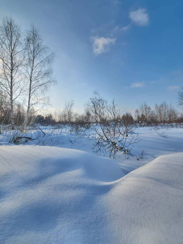московская область, мещёра, снег, зима, день Спящий ручей фото превью