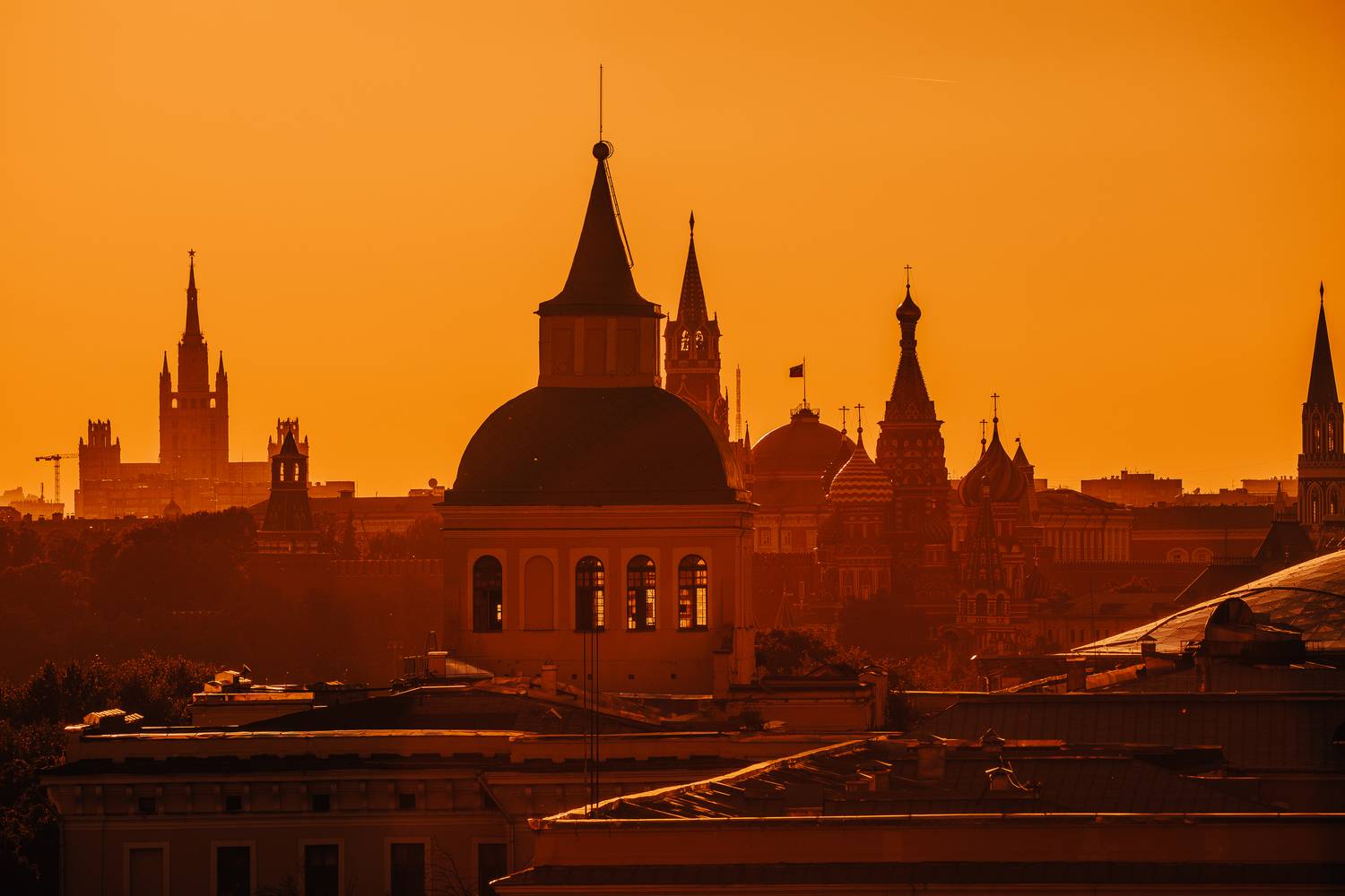 , Трепольский Дмитрий