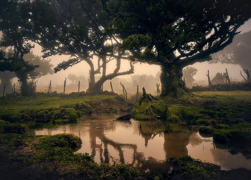 Волшебство Португалии... фото превью
