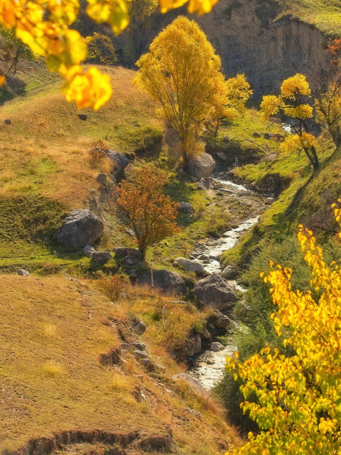 , Игорь Щербаков