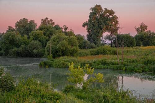 Летнее утро.