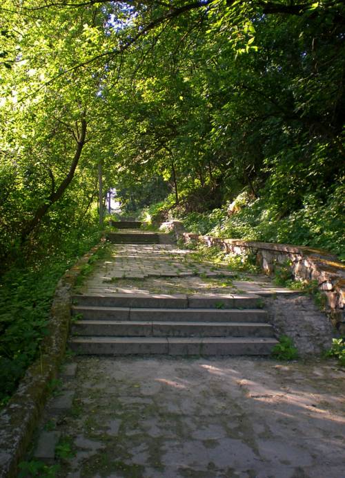 , Савоцкий Роман