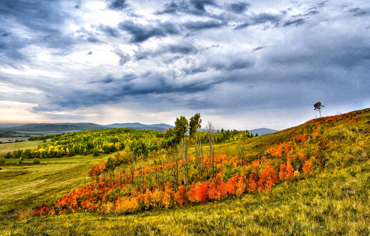 , Ушаков Валерий