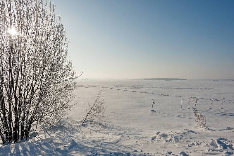 Мороз и солнце фото превью