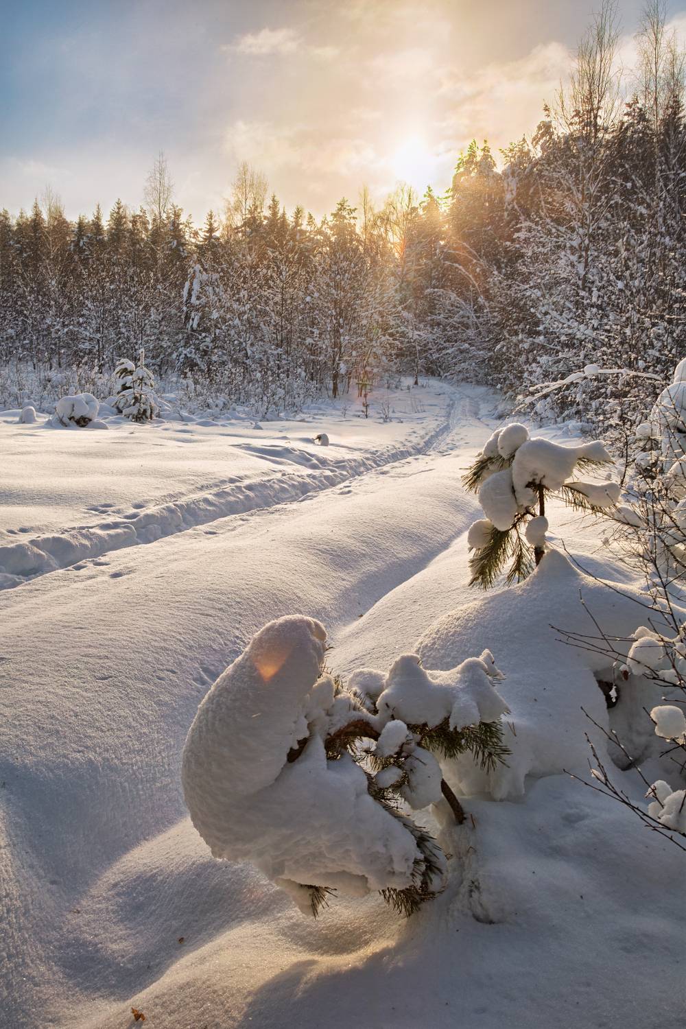 , Евгений Ерохин