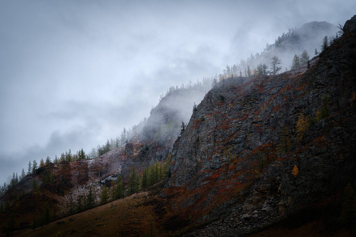 , Бодрягин Виталий