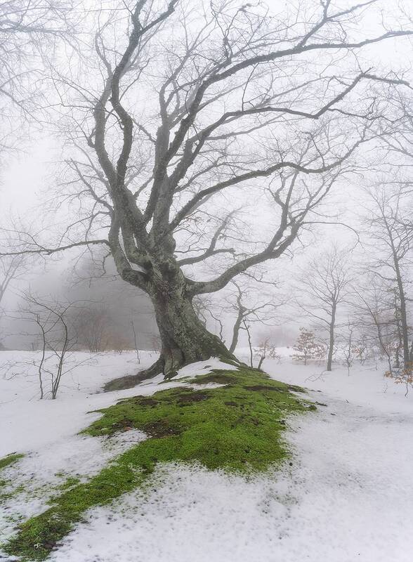 Крым фото превью