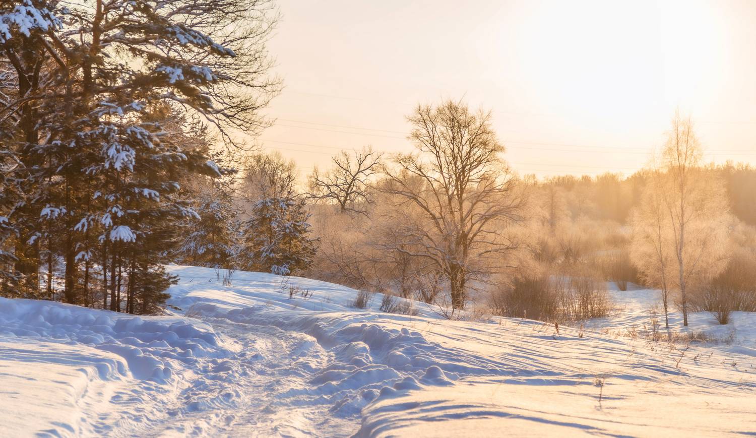 Владимир, Владимирская область, природа России, Татьяна Кормашова