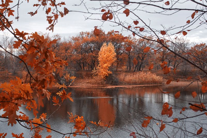 ерик, волгоград, осень Осень на ерике Гнилом фото превью