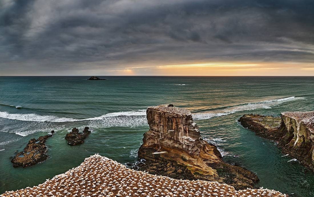 , Пичугин Дмитрий