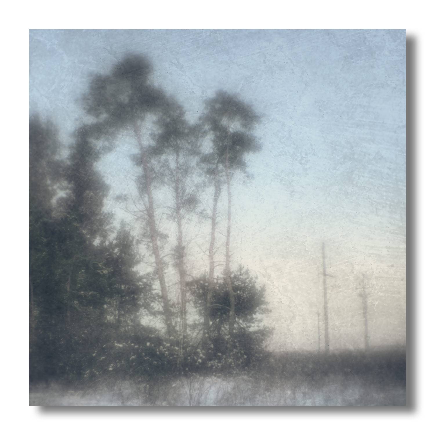 пикториализм, монокль, арт фотография, художественная фотография, пикториальный пейзаж, пикториальная фотография, русский пикториализм, современный пикториализм, Ефимов Андрей