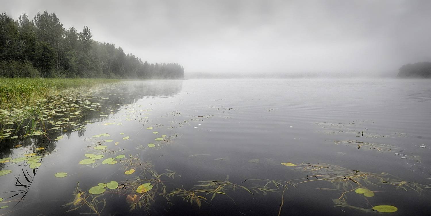 , Сергей Аникин