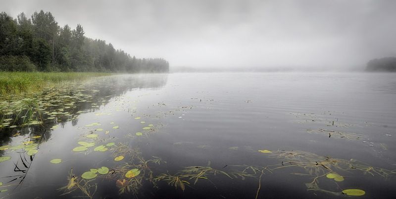 Утро туманное фото превью