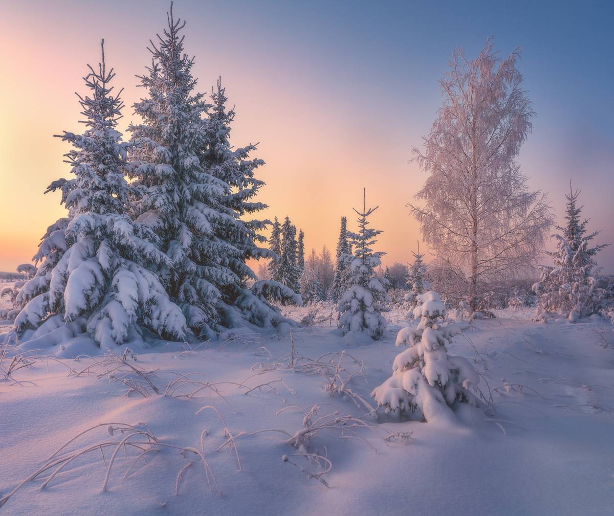 , Михаил Устюжанин