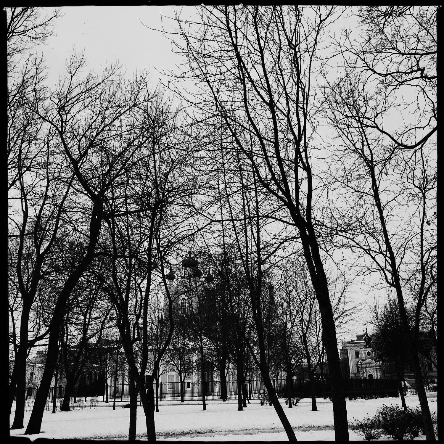 , Антон Лаба