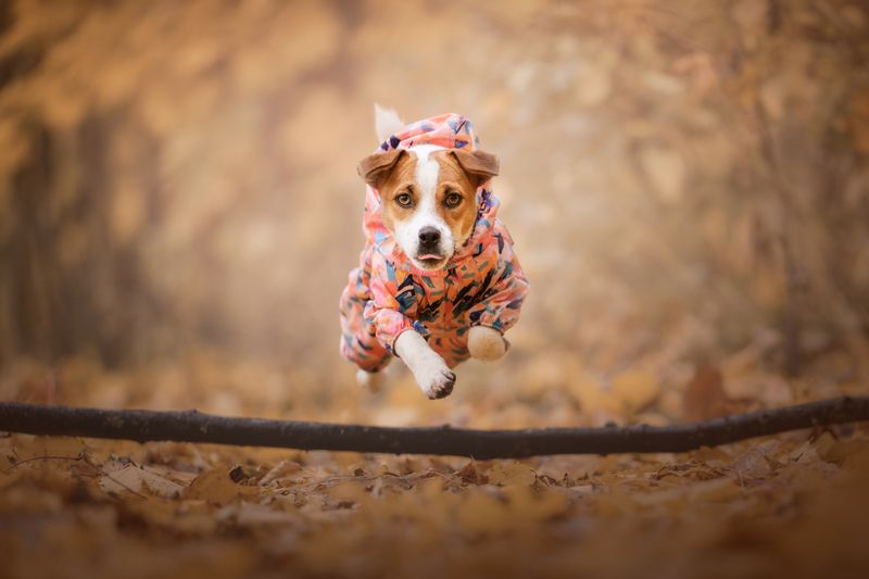 Busya фото превью