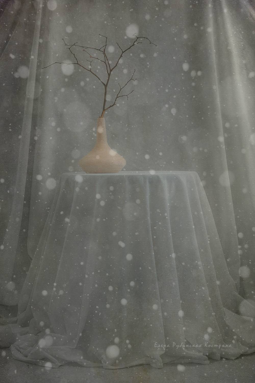 , Елена Рубинская