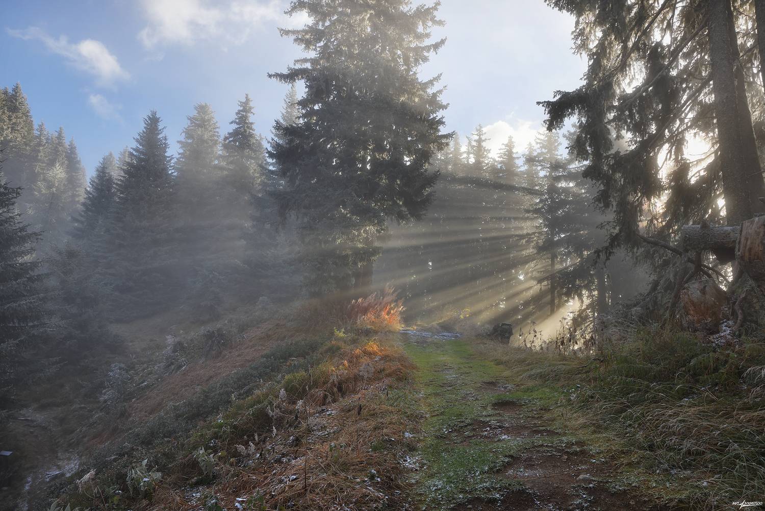 swiss, Матвеев Николай