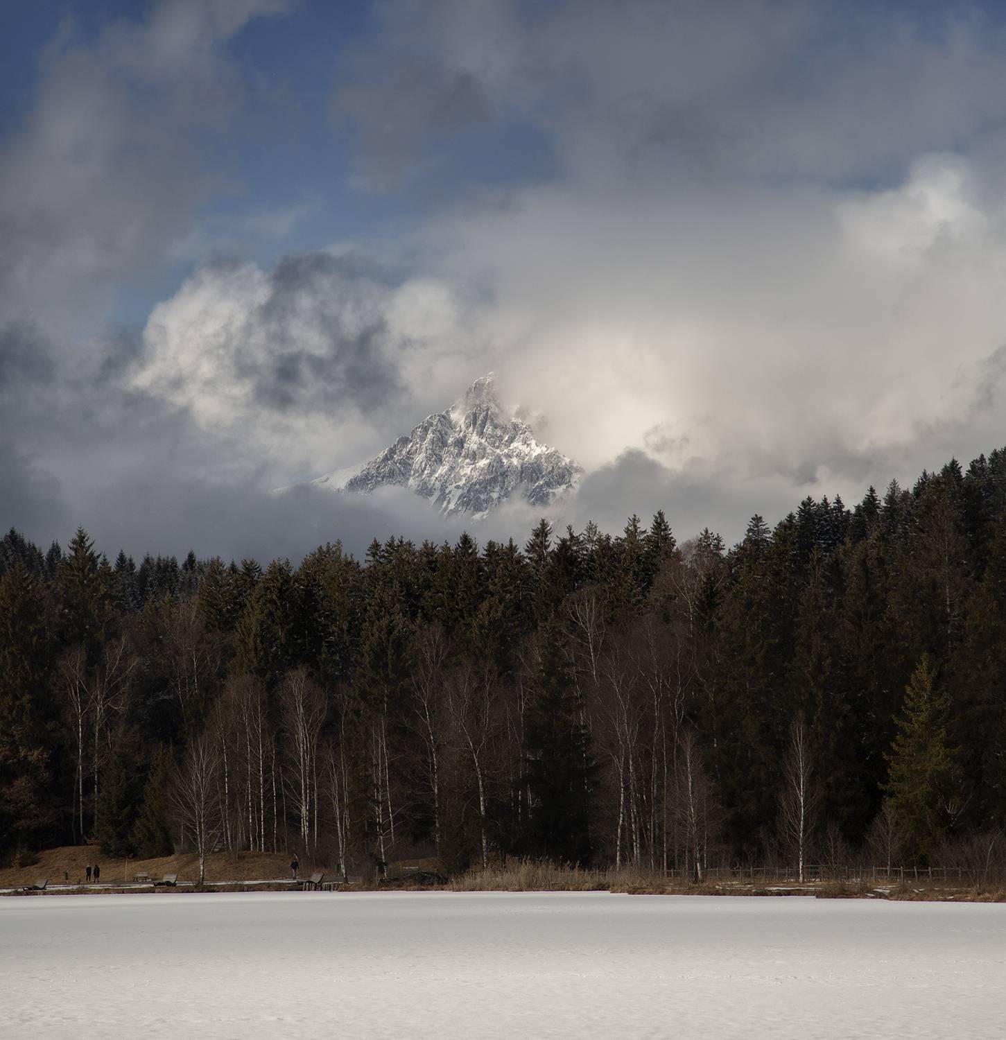 , Desislava Kuleshova