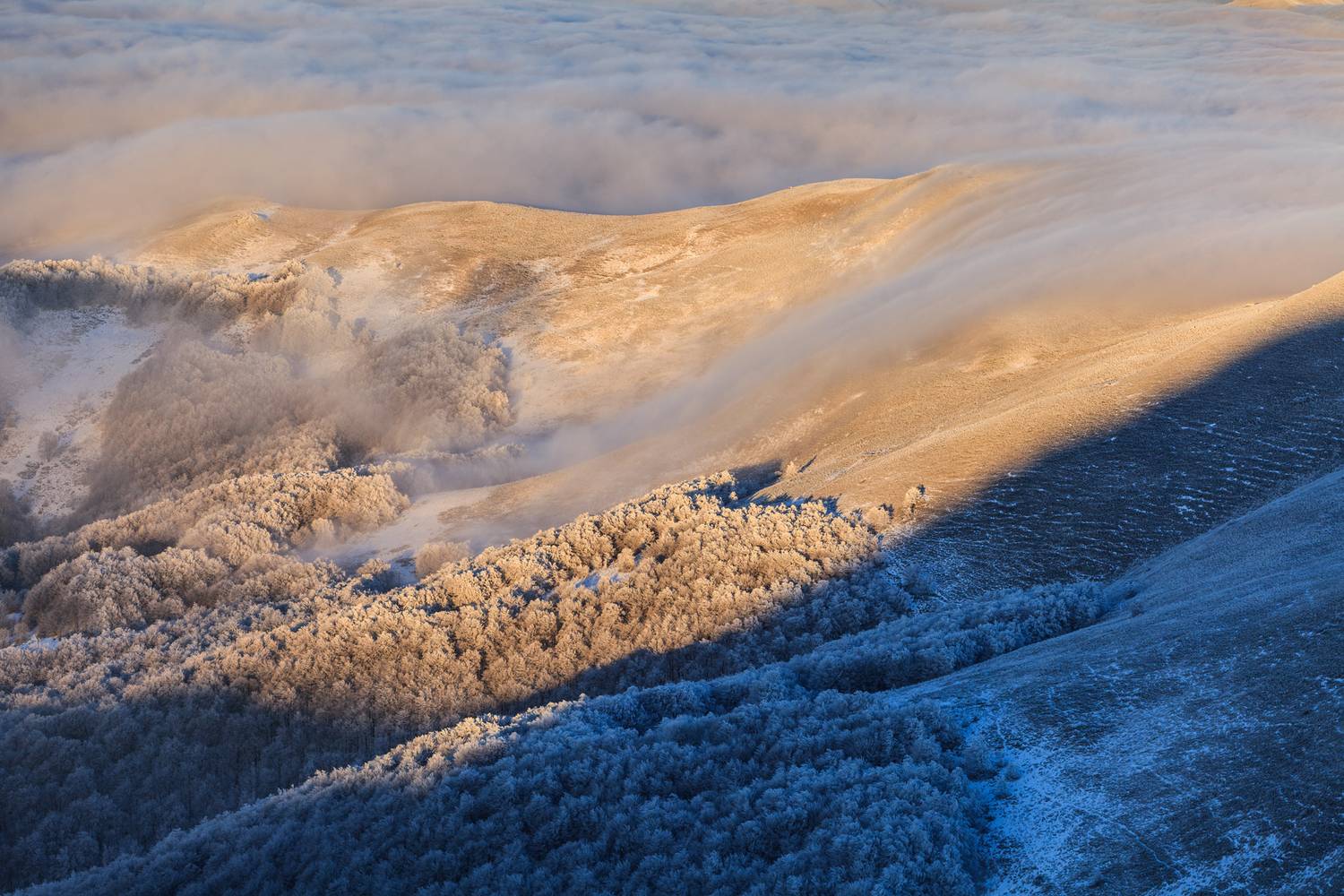 ,  Mirosław Pruchnicki
