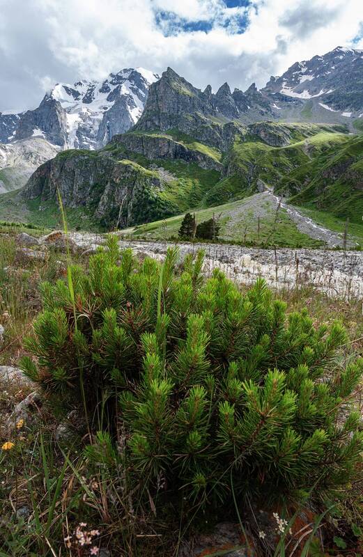 уллутау, адырсу, приэльбрусье, кабардинобалкария, кбр, кавказ Уллу-Тау фото превью