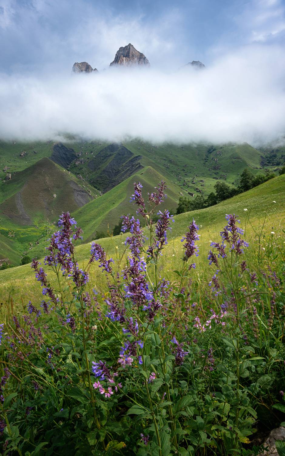 актопрак, перевал, приэльбрусье, кабардинобалкария, кбр, кавказ, чегемское ущелье, Уфимцев Юрий