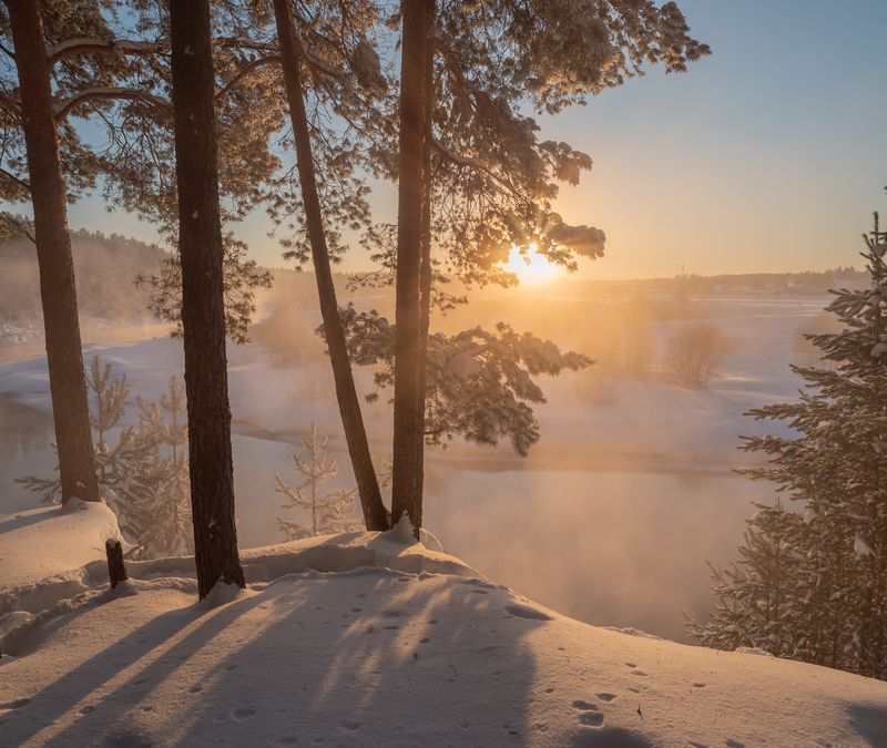 Золотое солнце февраля фото превью