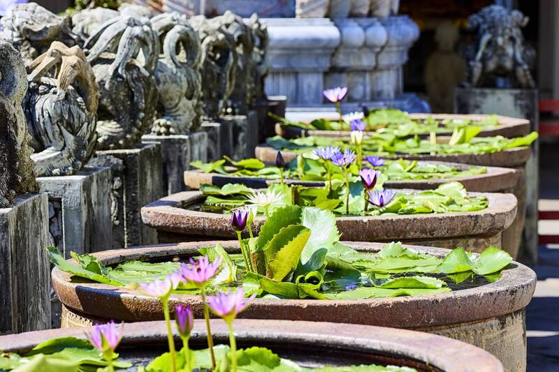 В храме Ват Арун фото превью