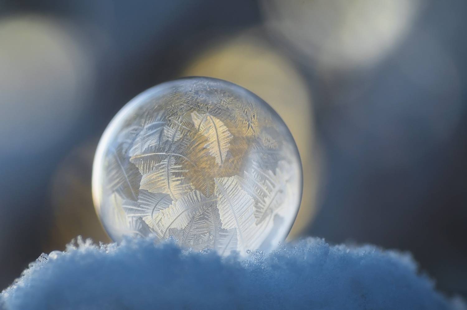 , Панова Зоя