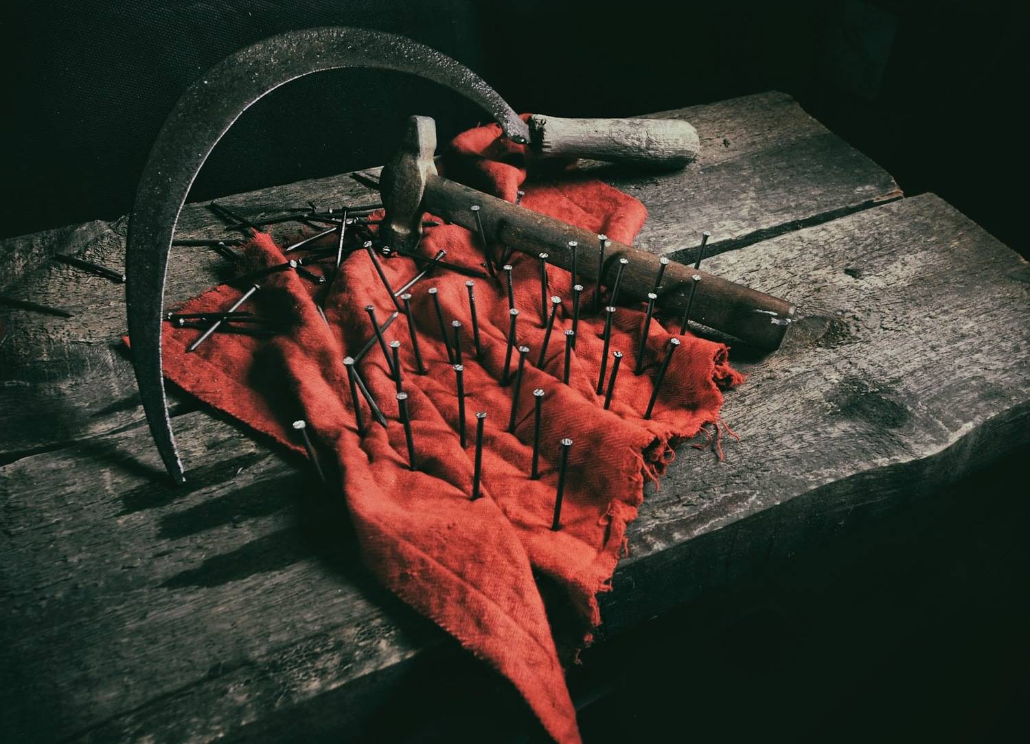 , Ирина Данилова