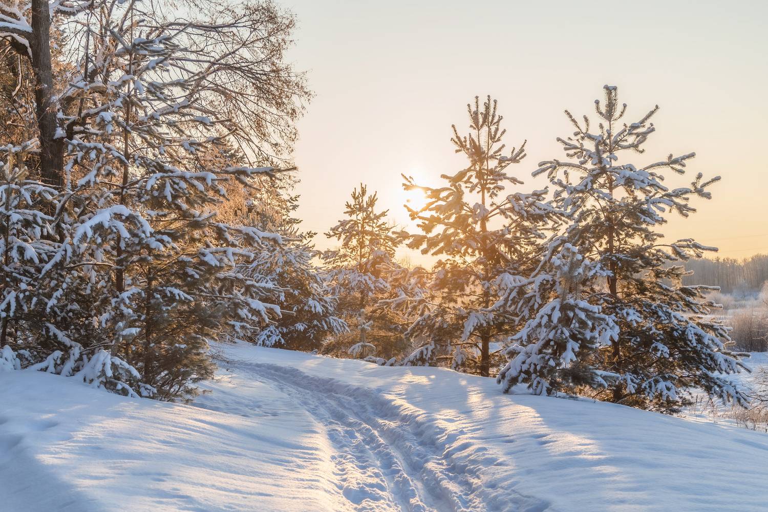 Владимир, Владимирская область, природа России, Татьяна Кормашова