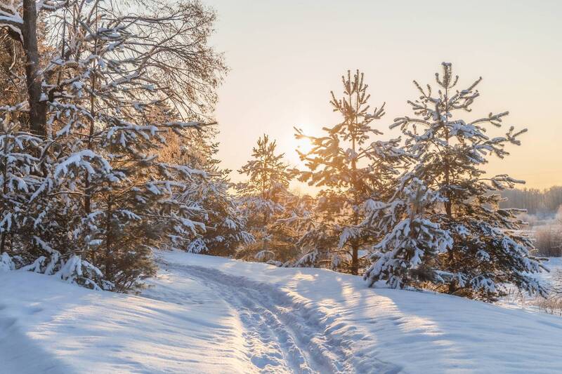 Владимир, Владимирская область, природа России Дорожка в зимнюю сказку фото превью