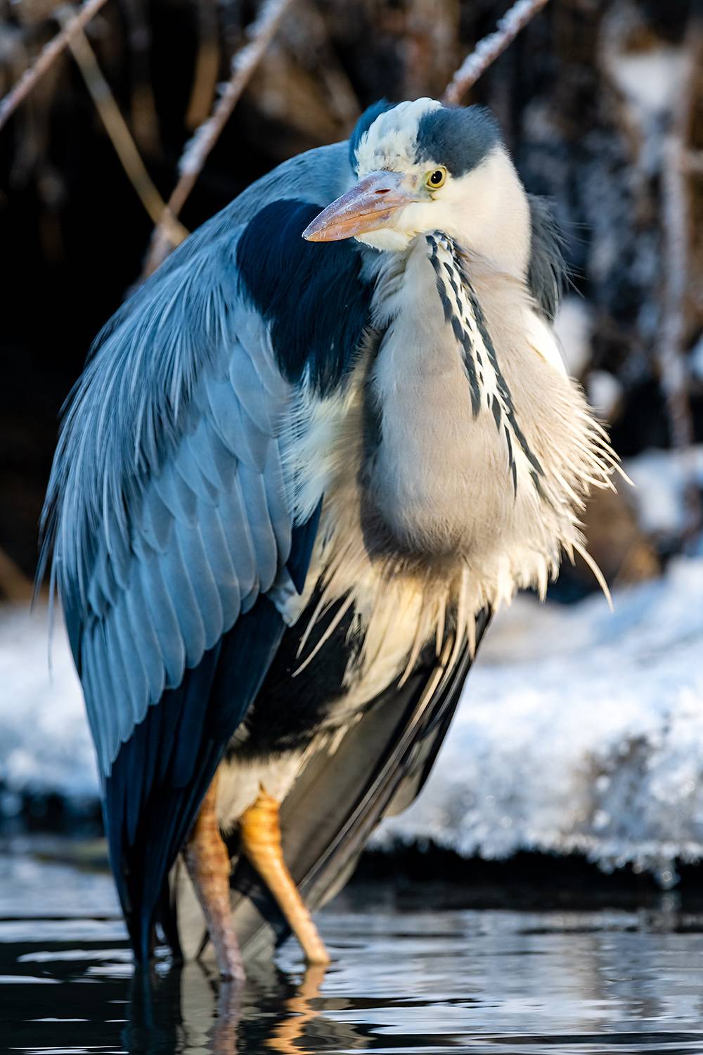 , Абросимов Александр