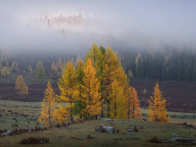 Призрачно все... фото превью
