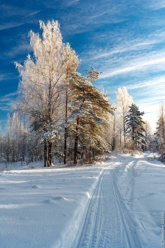 валдай Валдайская зима фото превью